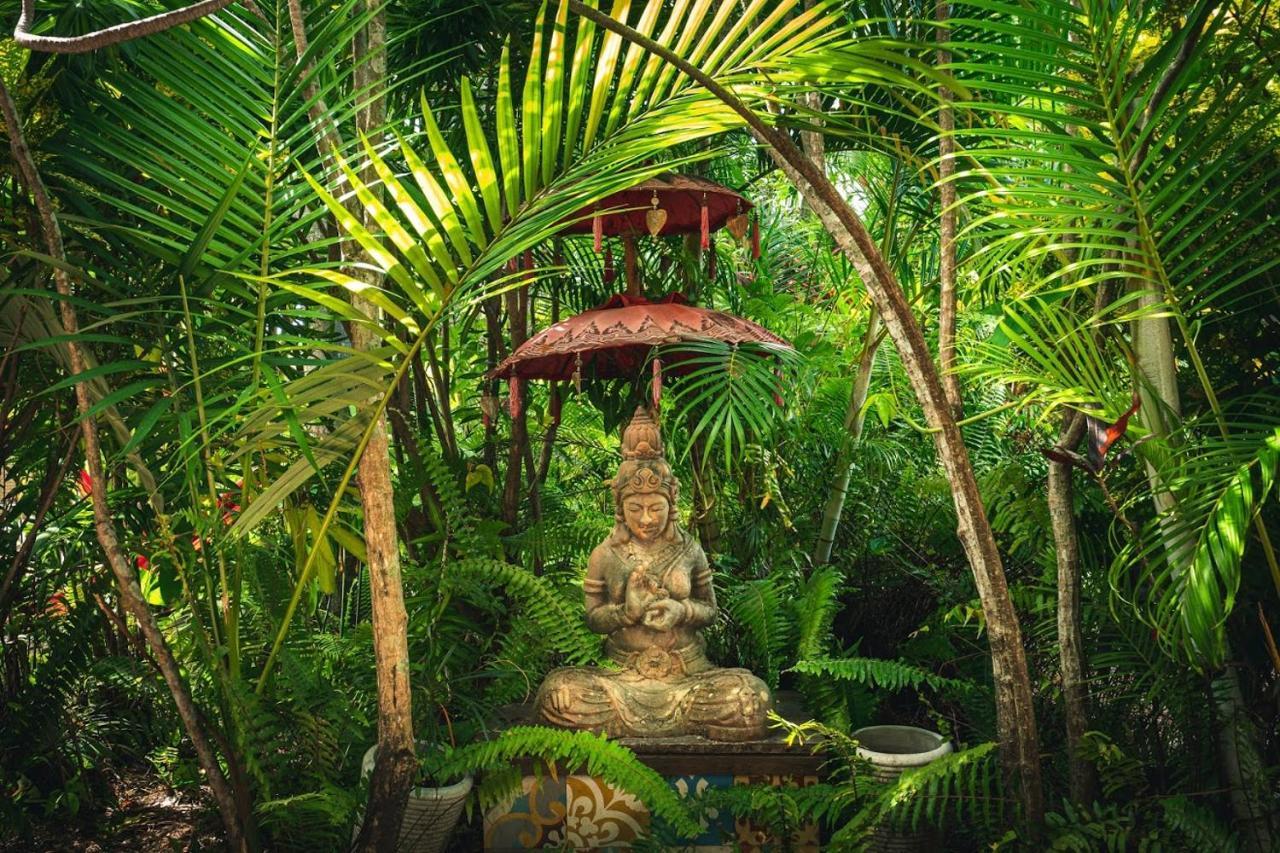 Tropic Days Boutique Hostel Cairns Esterno foto
