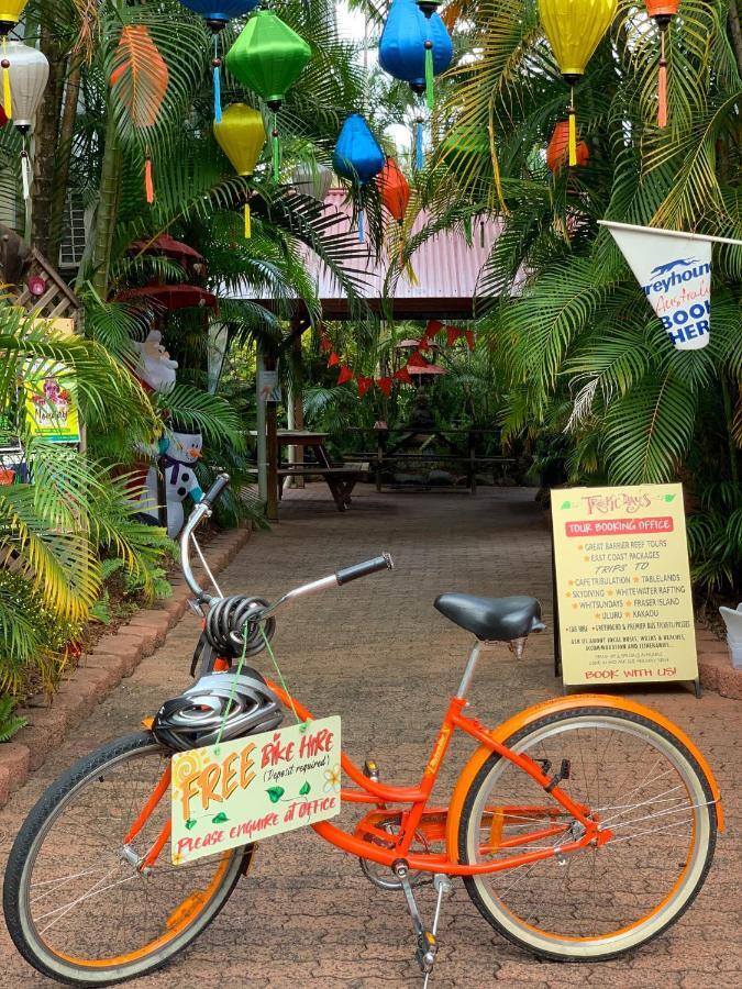 Tropic Days Boutique Hostel Cairns Esterno foto